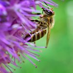 774开奖前后关联全解析:中奖号码的隐藏规律探秘 4t3k3y8h3c