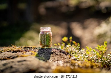 730开奖号最新公布结果揭晓