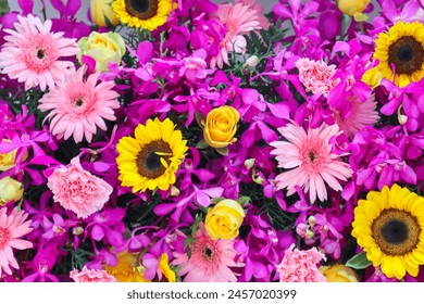 澳门贵宾厅的独特文化：了解其背后的历史与传统