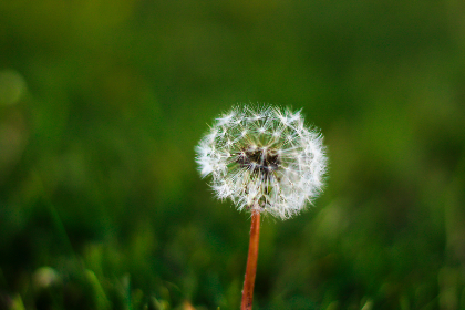 77184开奖网最新开奖公告与中奖信息查询