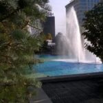 NBA插件直播:畅享高清流畅赛事的最佳选择 8vnwc54fce