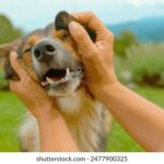 NBA彩票开奖时间最新公布,球迷彩民不容错过! d8y1l