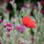 NBA技巧大赛直播火热开启,顶尖球星同场竞技 re0s6t